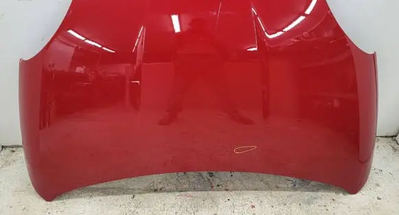 Engine bonnet/hood