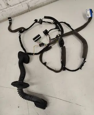 Renault Laguna III Front door wiring loom 241251960R 003287 55RJ21F33