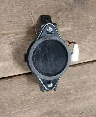 Panel speaker