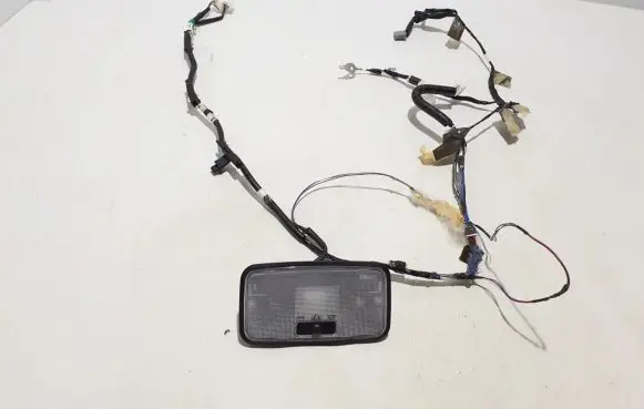 Other wiring loom