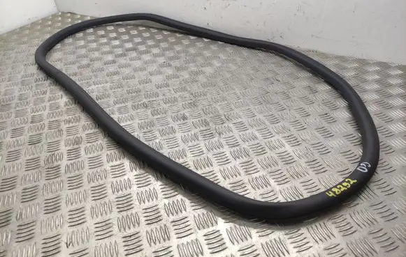Peugeot 308 Rear door rubber seal (on body) 
