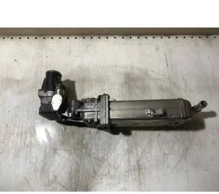 Seat Alhambra (Mk2) EGR valve cooler 03L131512BL
