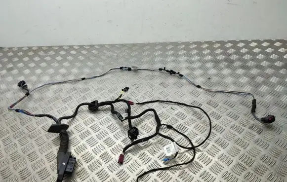 Front door wiring loom