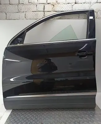 Volkswagen Tiguan Front door