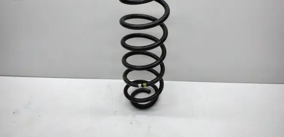 Rear coil spring