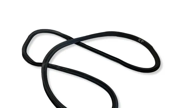 BMW 5 G30 G31 G38 Front door rubber seal 