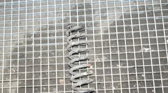 KIA Sportage Rear coil spring