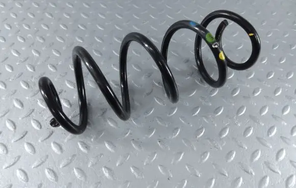 Dacia Sandero III Rear coil spring 550207929R