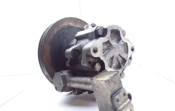 Nissan Terrano Power steering pump 7692974101 491100F003