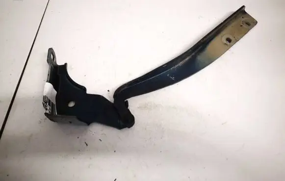 Fiat Punto (188) Engine bonnet/hood hinges a134