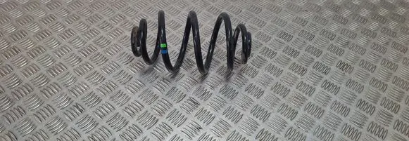 Rear coil spring