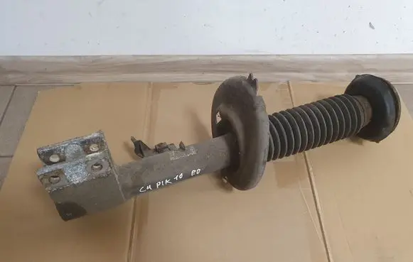 Citroen C4 I Picasso Front shock absorber/damper