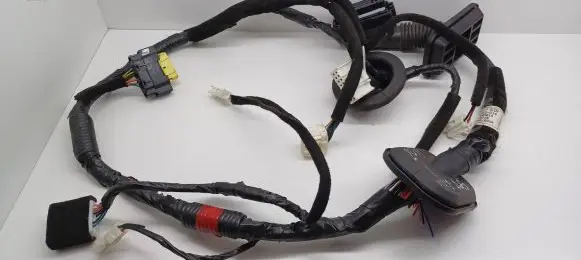 Front door wiring loom