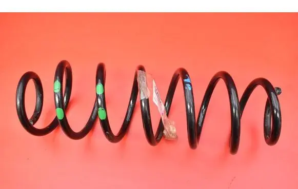 Rear coil spring
