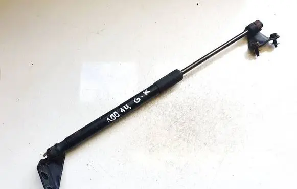 Tailgate/trunk strut/damper