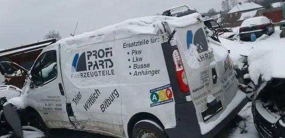 Renault Trafic II (X83) Body brak