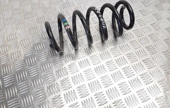 Audi A4 S4 B7 8E 8H Rear coil spring