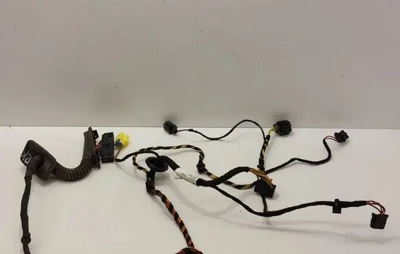 Volkswagen PASSAT CC Front door wiring loom 5N0959843B 3C8971120BN