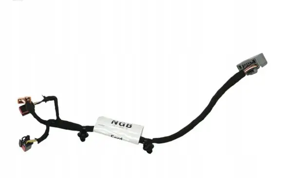 Ford Kuga II Wiring harness FV4T14B079