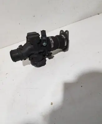 Peugeot 307 Throttle valve 9660030380