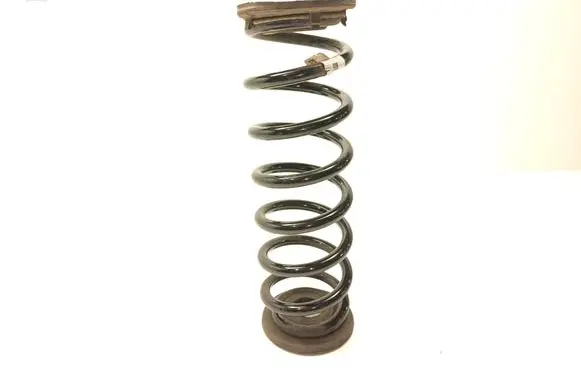 Volkswagen Tiguan Rear coil spring 5QS511103AE