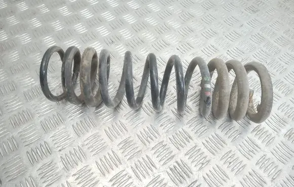 Ford Focus Rear coil spring