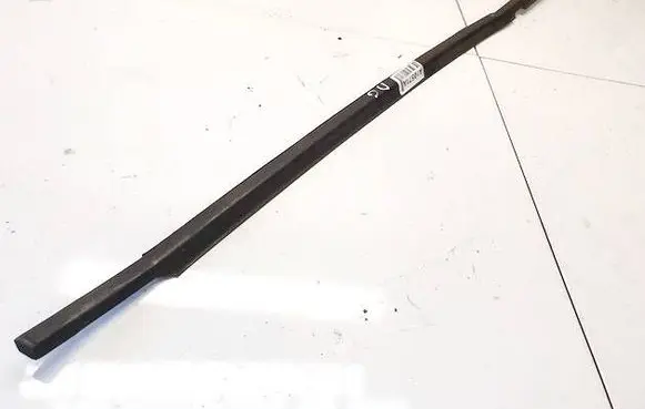 Peugeot 406 Rear door glass trim molding