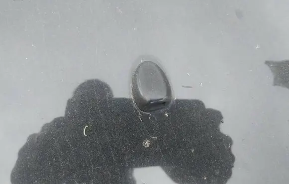 Citroen C3 Windshield washer spray nozzle 