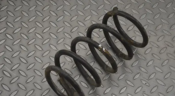 Hyundai Santa Fe Rear coil spring