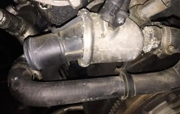 Alfa Romeo 156 Engine coolant pipe/hose