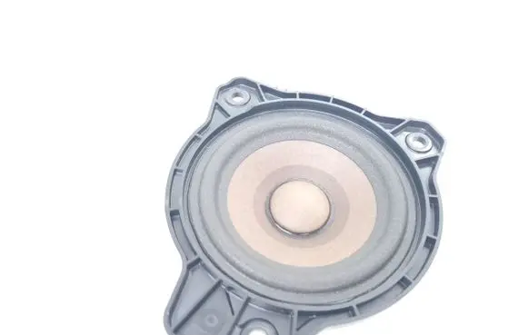 Polestar 2 Panel speaker 31456871