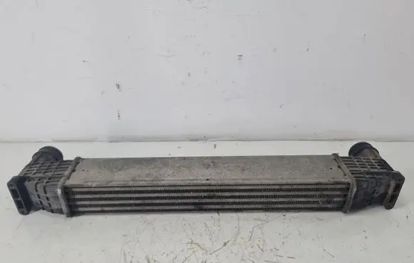 Seat Alhambra (Mk1) Intercooler radiator 132002748A