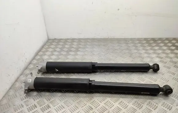 Ford Puma Rear shock absorber/damper L1TC18080