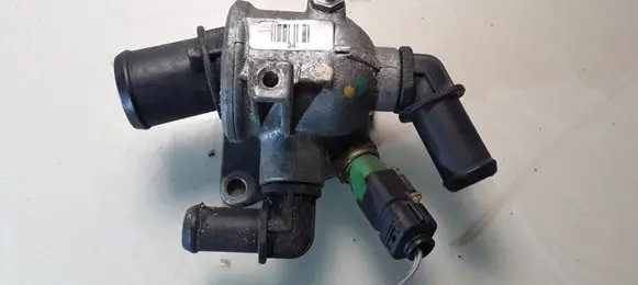 Thermostat/thermostat housing