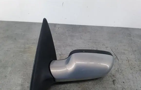 Renault Megane II Front door electric wing mirror 8200219925