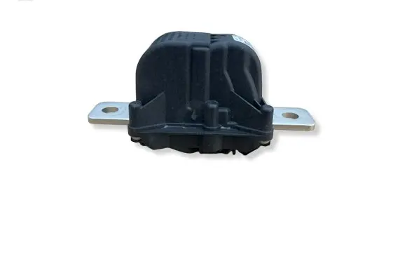 Tesla Model 3 Fuse 106468900I