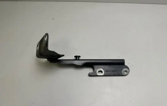 Ford Mustang V Tailgate/trunk/boot hinge E816K