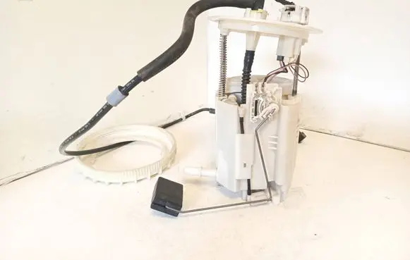 Lexus GS 300 350 430 450H In-tank fuel pump 1019622050