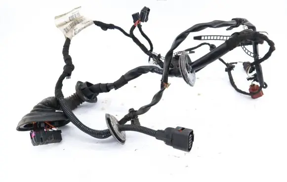 Audi A8 S8 D3 4E Front door wiring loom 4E0971030BA