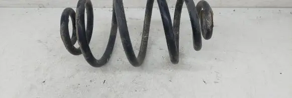 Volkswagen PASSAT B5.5 Rear coil spring