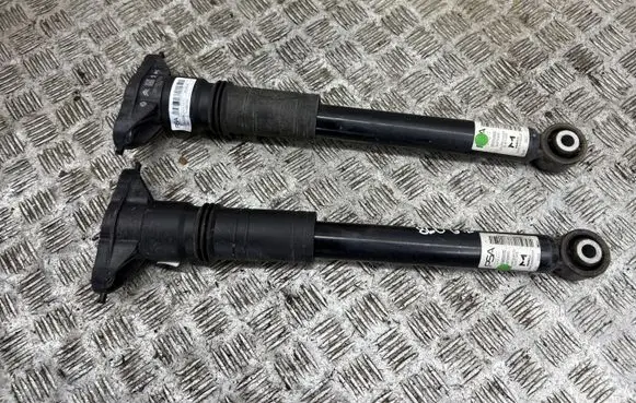 Peugeot 2008 II Rear shock absorber/damper 9836658080