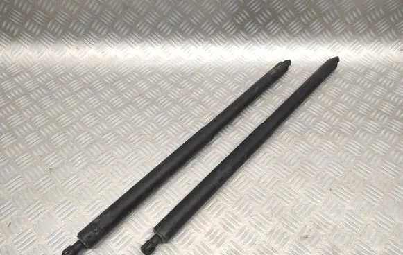 Opel Insignia A Tailgate/trunk strut/damper 13441810