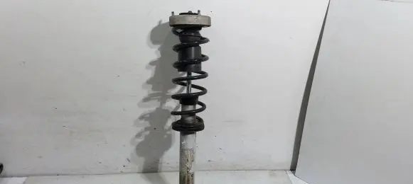 Rear shock absorber/damper