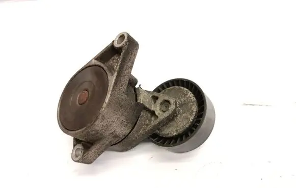 BMW 3 E46 Alternator belt tensioner