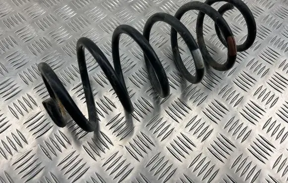 Rear coil spring