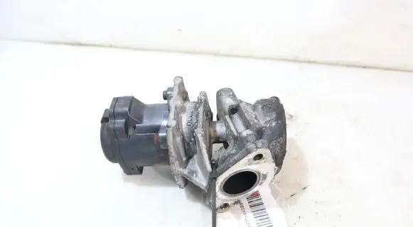 EGR valve