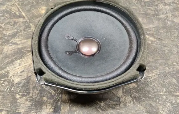 Cadillac SRX Rear door speaker 25660131