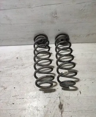 Rear coil spring