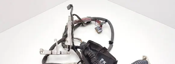 Volvo S80 Front door wiring loom 9469716 D9469716 D9469716003