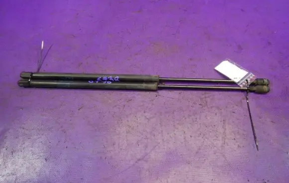 Honda Civic Tailgate strut 